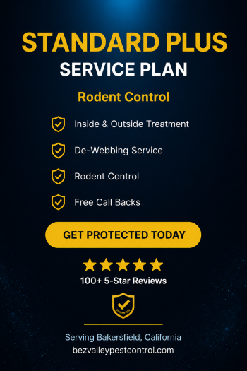 Standard Plus Service Plan