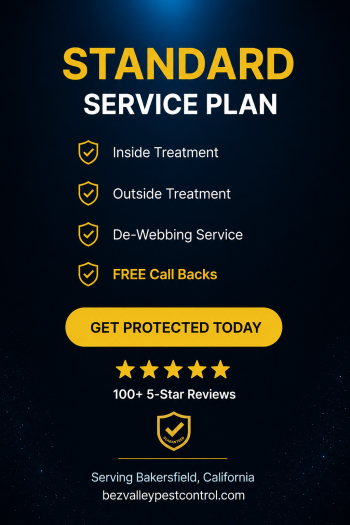 Standard Service Plan